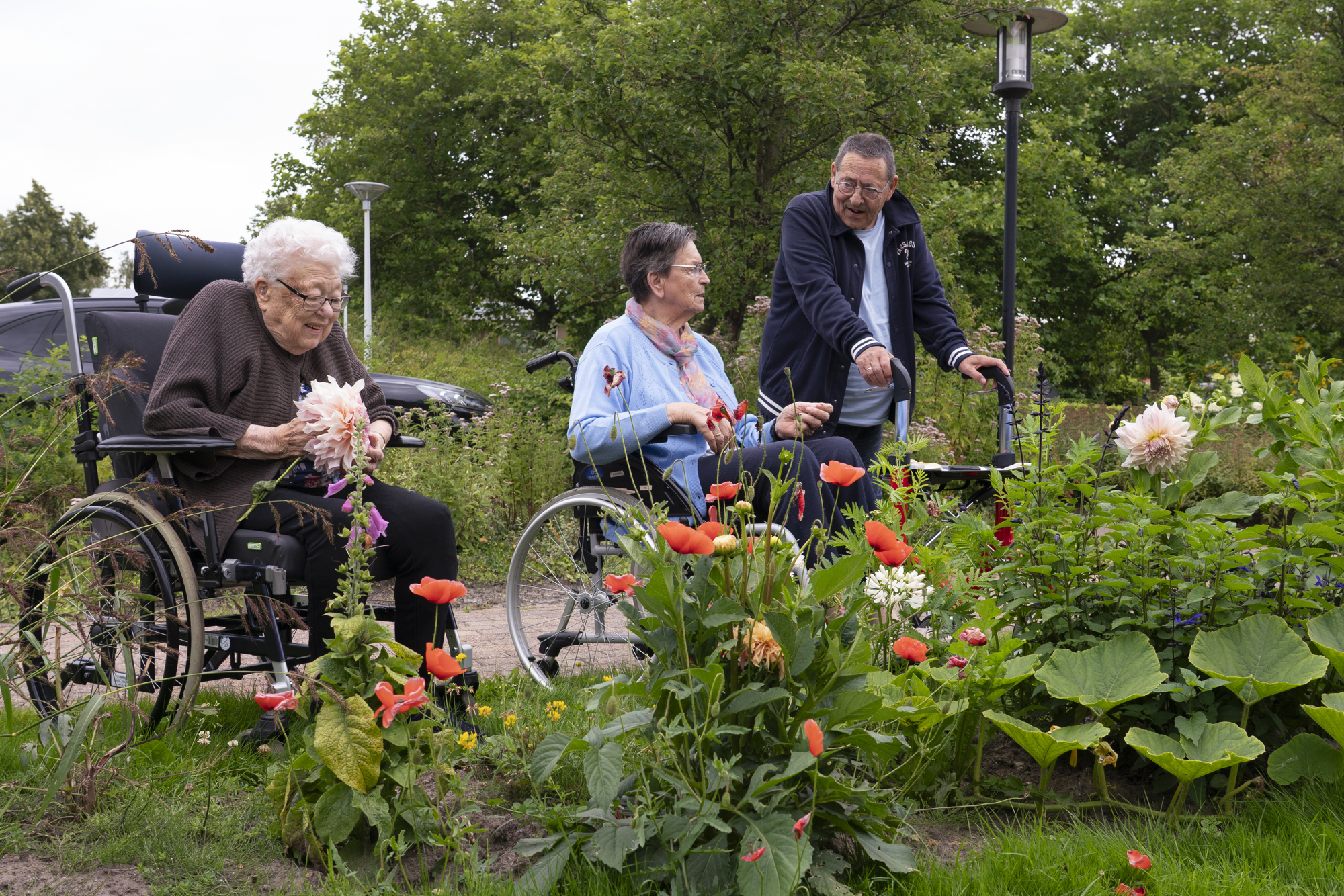 Pluktuin Haersmahiem